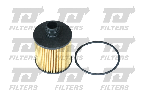 Oil Filter (QFL0245)