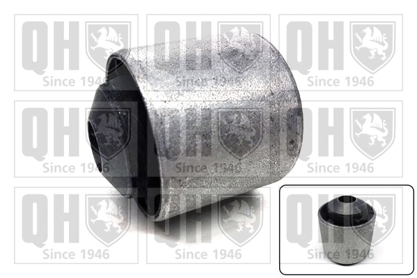 Mounting, control/trailing arm (EMS8719)