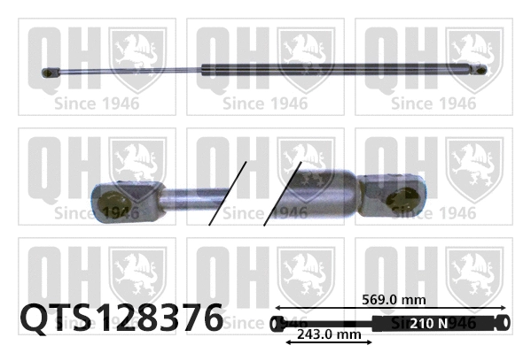 Gas Spring, boot/cargo area (QTS128376)