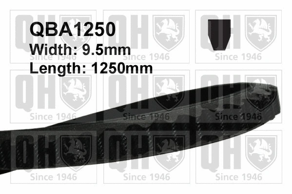 V-Belt (QBA1250)