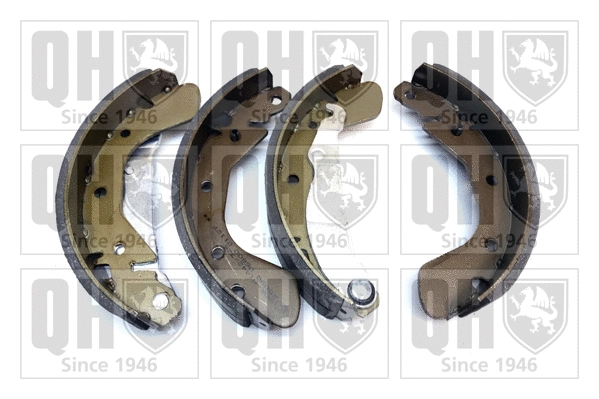 Brake Shoe Set (BS841)