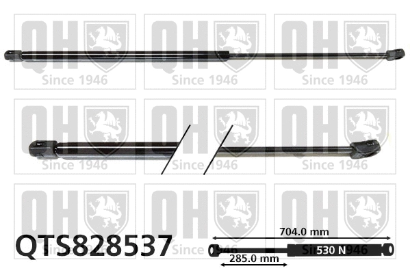 Gas Spring, boot/cargo area (QTS828537)