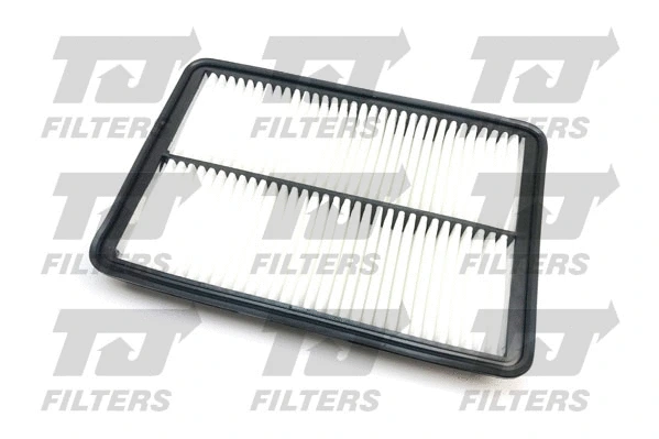 Air Filter (QFA0967)