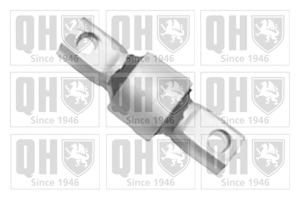 Mounting, control/trailing arm (EMS8316)
