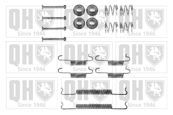 Accessory Kit, brake shoes (BFK226)