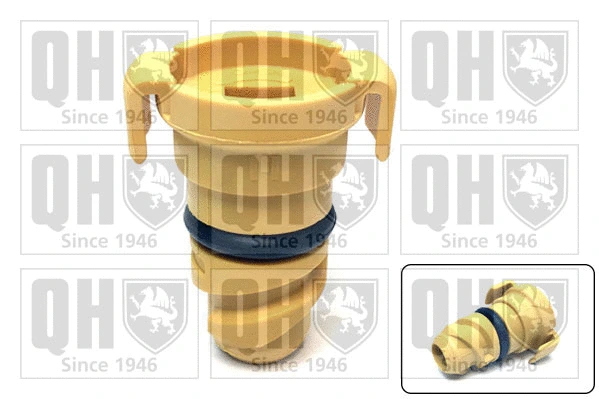 Screw Plug, oil sump (QOC1036)