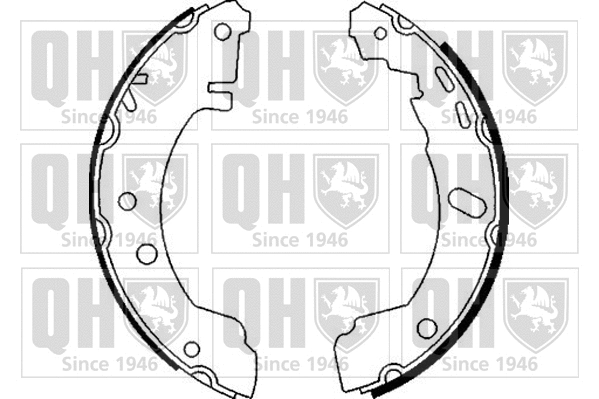 Brake Shoe Set (BS829)