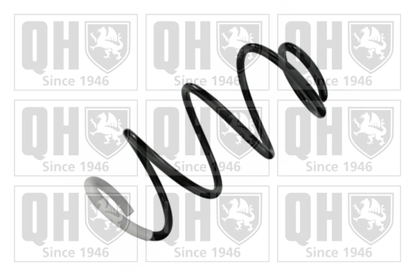 Suspension Spring (QCS8555)