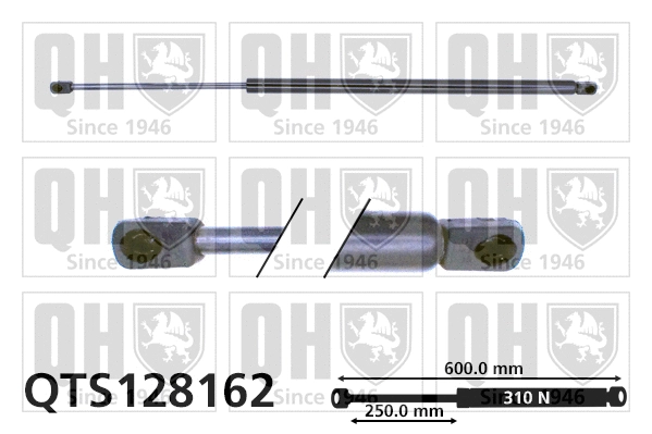 Gas Spring, boot/cargo area (QTS128162)