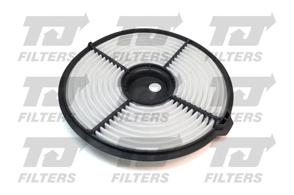 Air Filter (QFA0652)