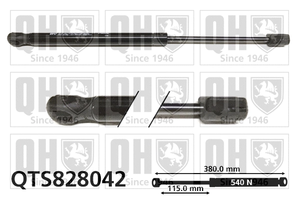 Gas Spring, boot/cargo area (QTS828042)