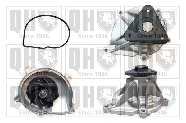 Water Pump, engine cooling (QCP3933)