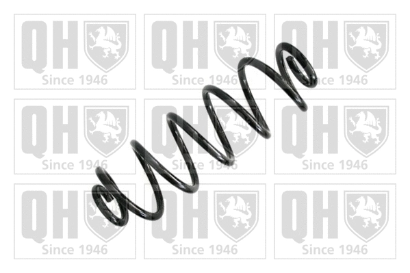 Suspension Spring (QCS6996)