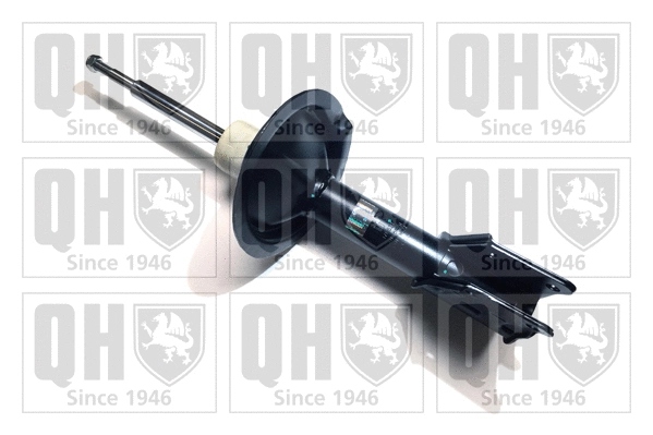 Shock Absorber (QAG178521)