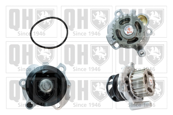 Water Pump, engine cooling (QCP3306)
