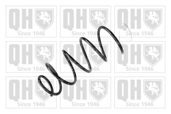 Suspension Spring (QCS6658)