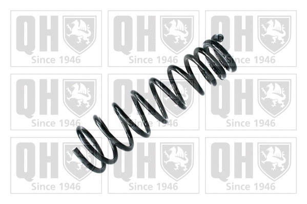 Suspension Spring (QCS5301)