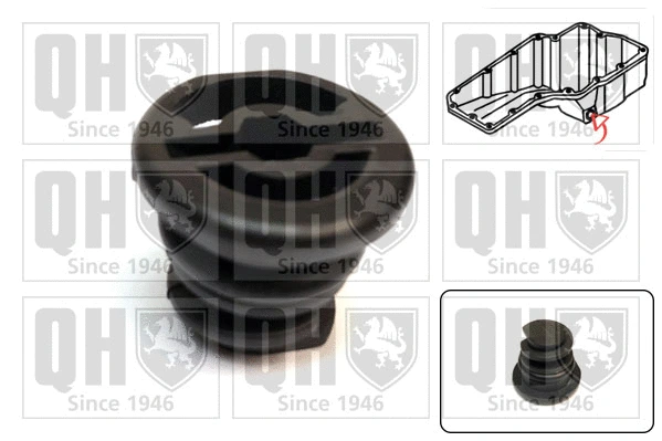 Screw Plug, oil sump (QOC1004)