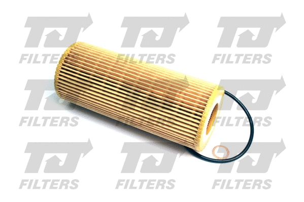 Oil Filter (QFL0169)