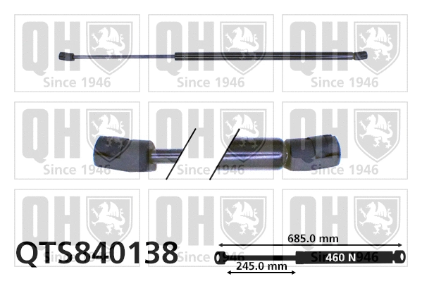 Gas Spring, boot/cargo area (QTS840138)