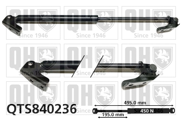 Gas Spring, boot/cargo area (QTS840236)
