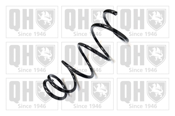 Suspension Spring (QCS6166)