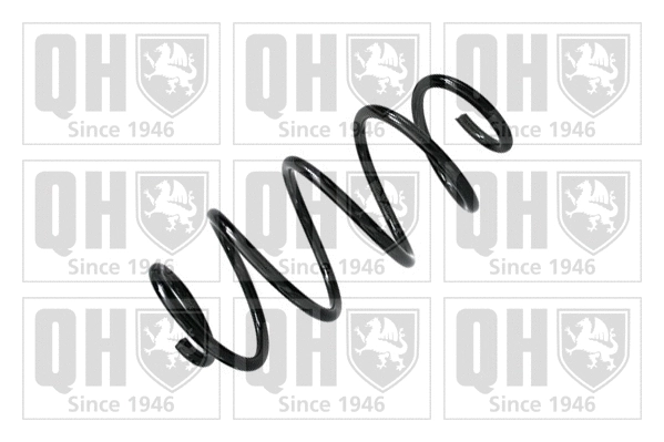 Suspension Spring (QCS5103)