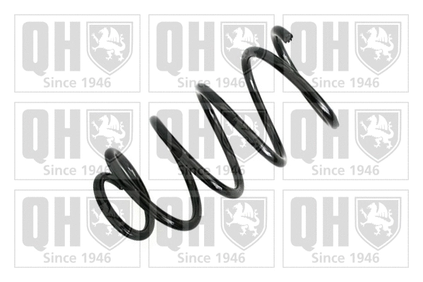 Suspension Spring (QCS6984)