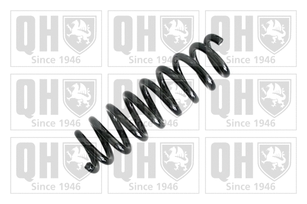 Suspension Spring (QCS6941)