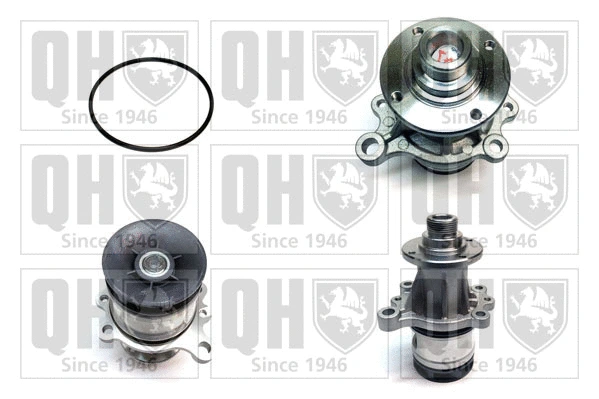 Water Pump, engine cooling (QCP3067)
