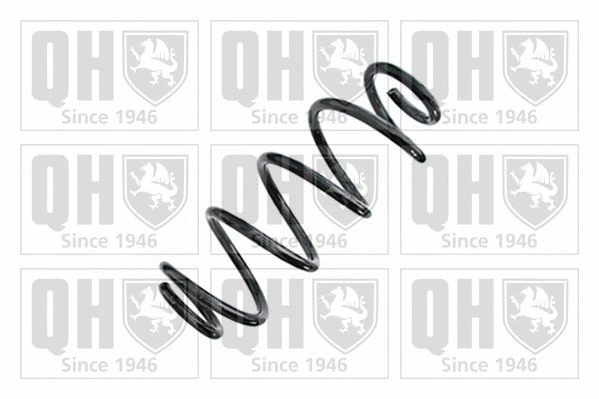 Suspension Spring (QCS6648)