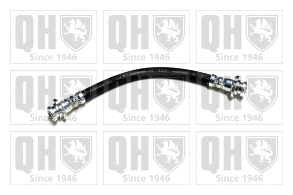 Brake Hose (BFH5504)