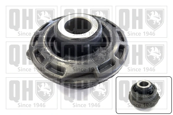 Mounting, control/trailing arm (EMS8191)