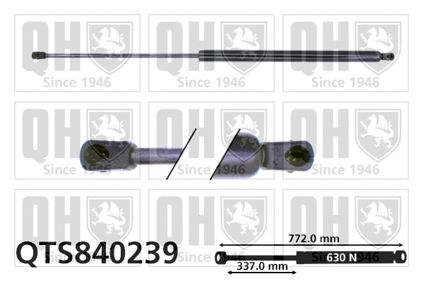 Gas Spring, boot/cargo area (QTS840239)