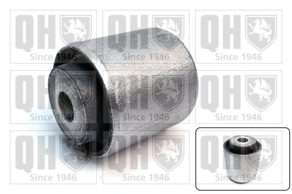 Mounting, control/trailing arm (EMS8785)