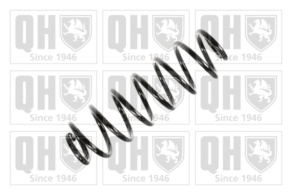 Suspension Spring (QCS6886)