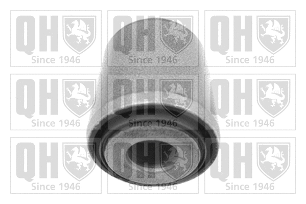 Mounting, control/trailing arm (EMS8552)