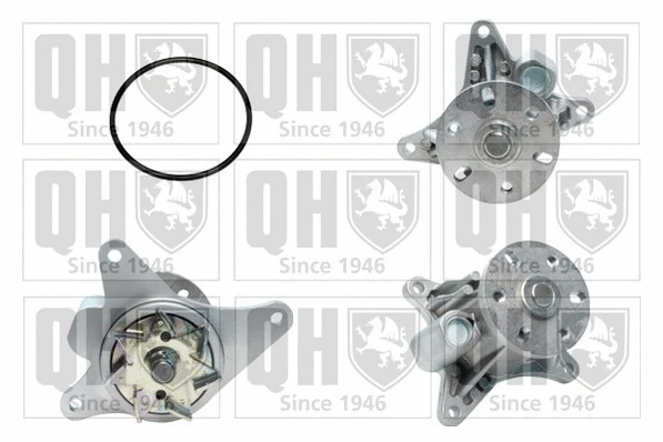 Water Pump, engine cooling (QCP3683)