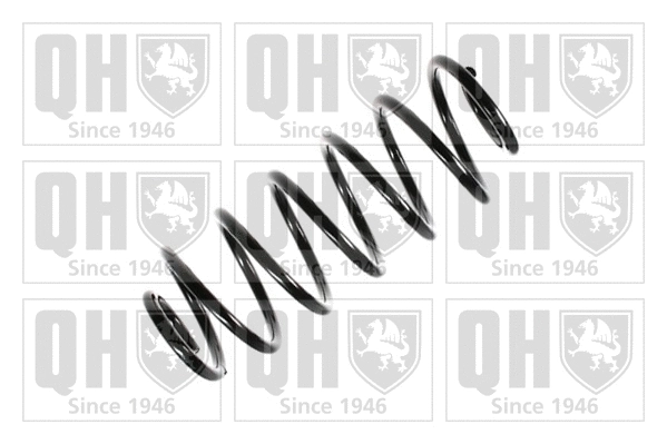 Suspension Spring (QCS6907)