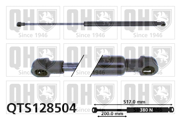 Gas Spring, boot/cargo area (QTS128504)