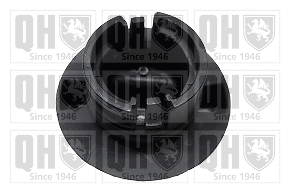 Sealing Cap, oil filler neck (FC584)