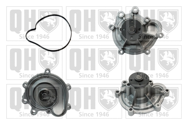 Water Pump, engine cooling (QCP3826)