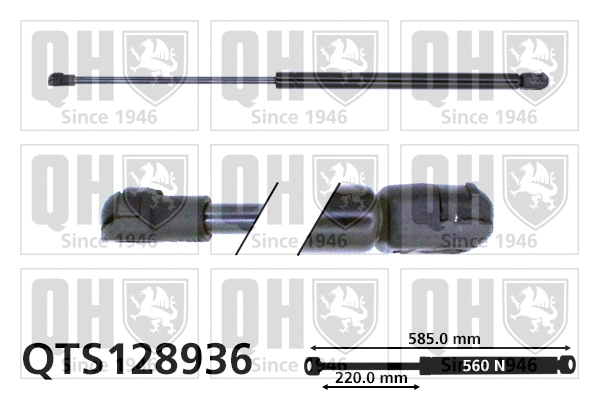 Gas Spring, bonnet (QTS128936)
