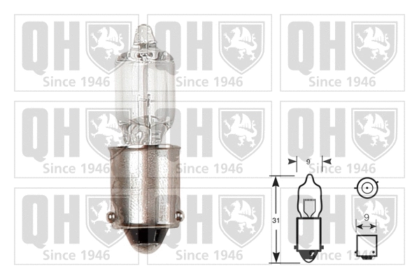 Bulb (QBL434)