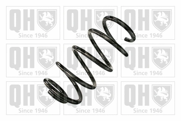 Suspension Spring (QCS8954)
