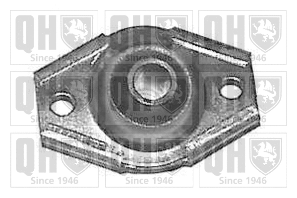 Mounting, control/trailing arm (EMS2030)