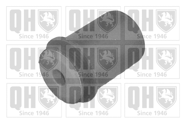 Mounting, control/trailing arm (EMS8073)