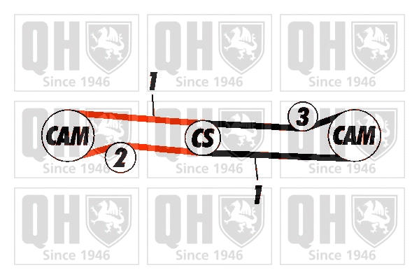 Timing Belt Kit (QBK217)