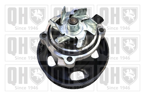 Water Pump, engine cooling (QCP3985)