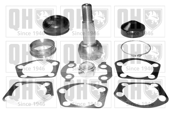 Repair kit, supporting/ball joint (QSJ221RK)